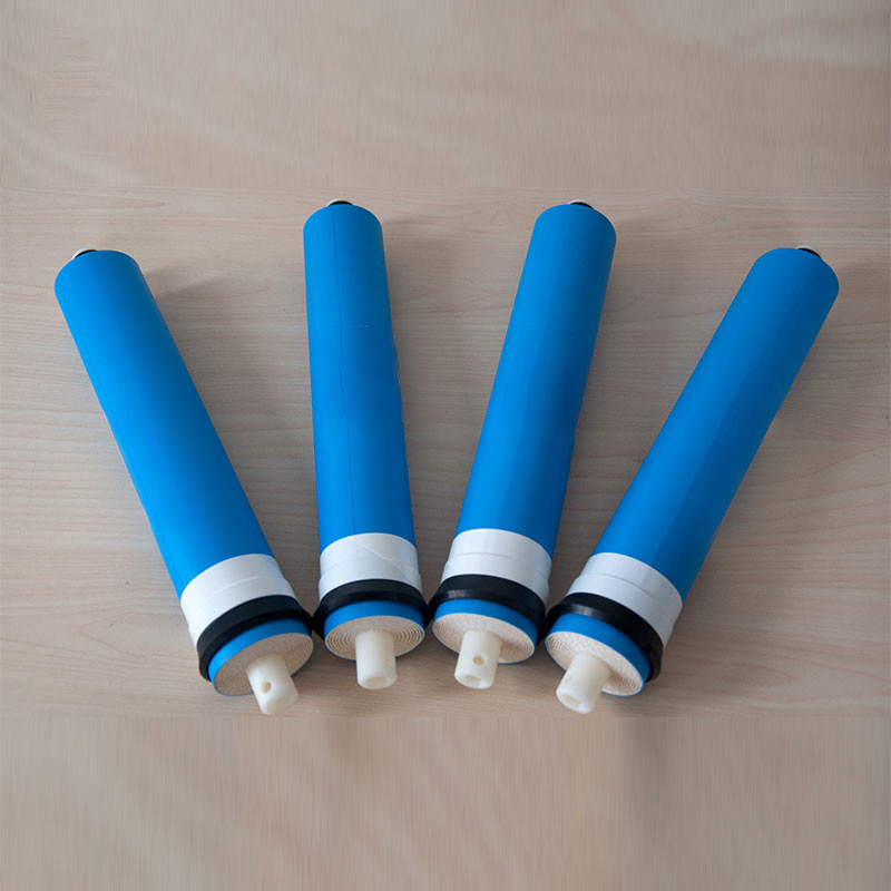 100GPD 50G 75G 100G Bagian Filter Air Membran Residential Ro