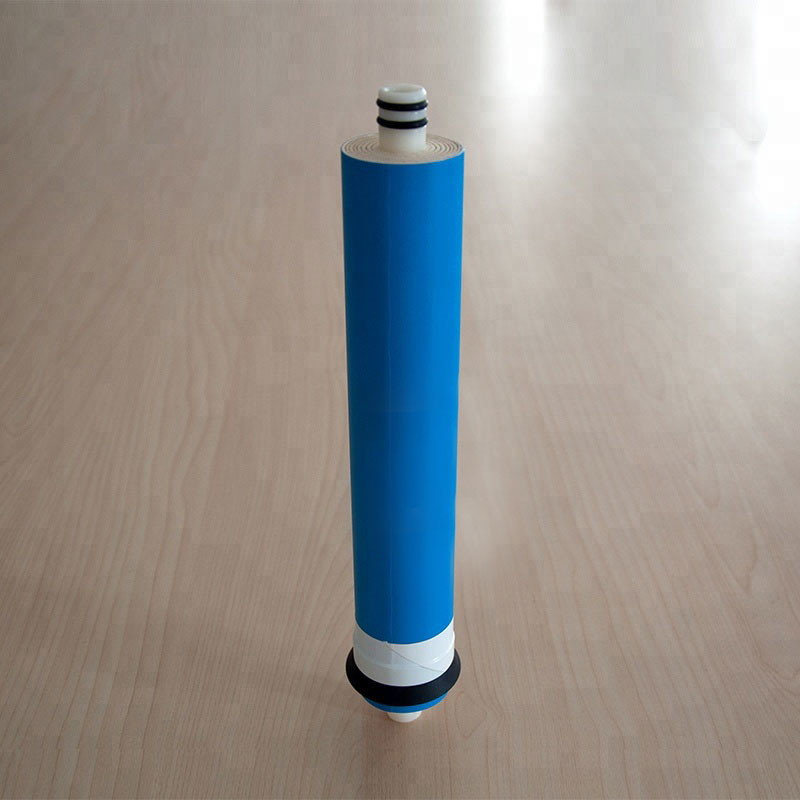 100GPD 50G 75G 100G Bagian Filter Air Membran Residential Ro